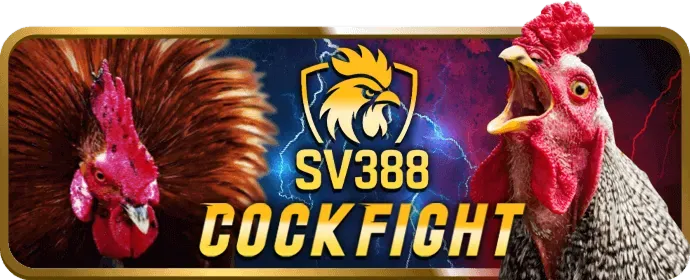 Hỗ trợ khách hàng a666 24/7